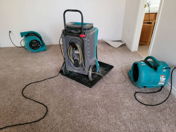 Best 24-hour water damage restoration  in Short Pump, VA