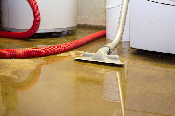 Professional Water damage restoration in VA