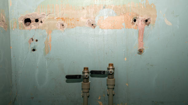 Best Flood restoration services  in Short Pump, VA