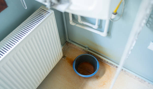 Water damage restoration mold remediation in VA